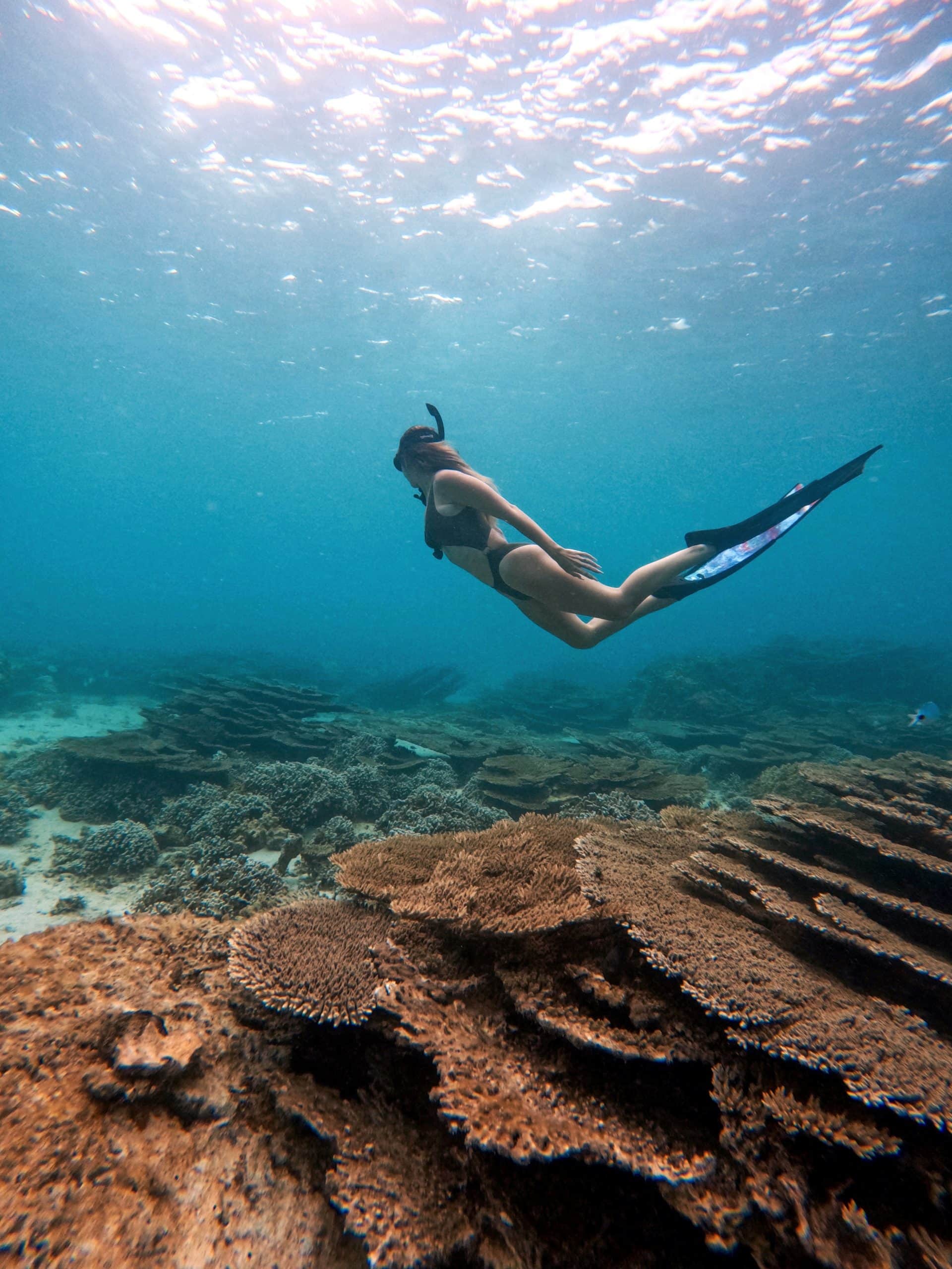 DCIM100GOPROGOPR2311.JPG