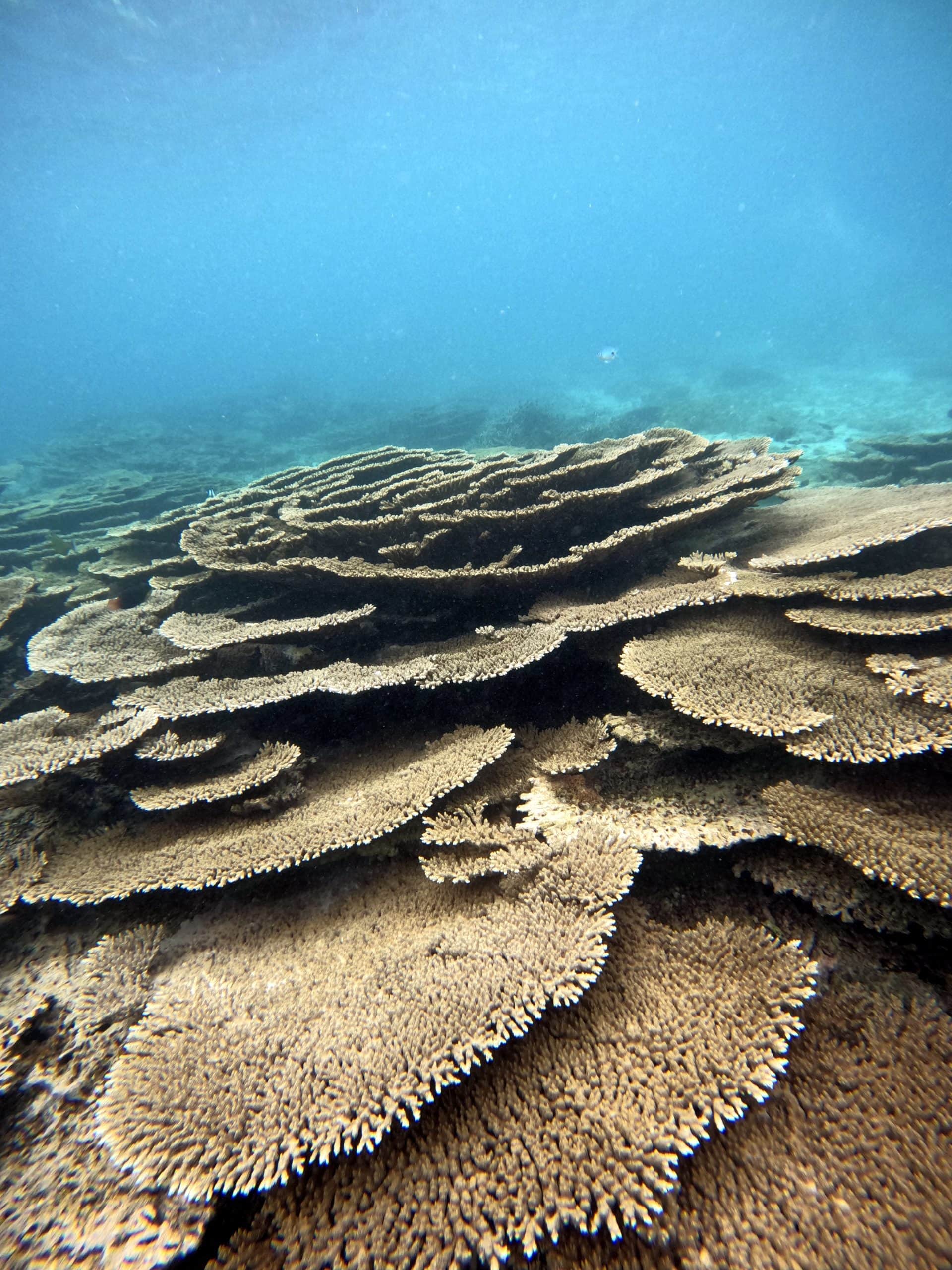 DCIM100GOPROGOPR2286.JPG