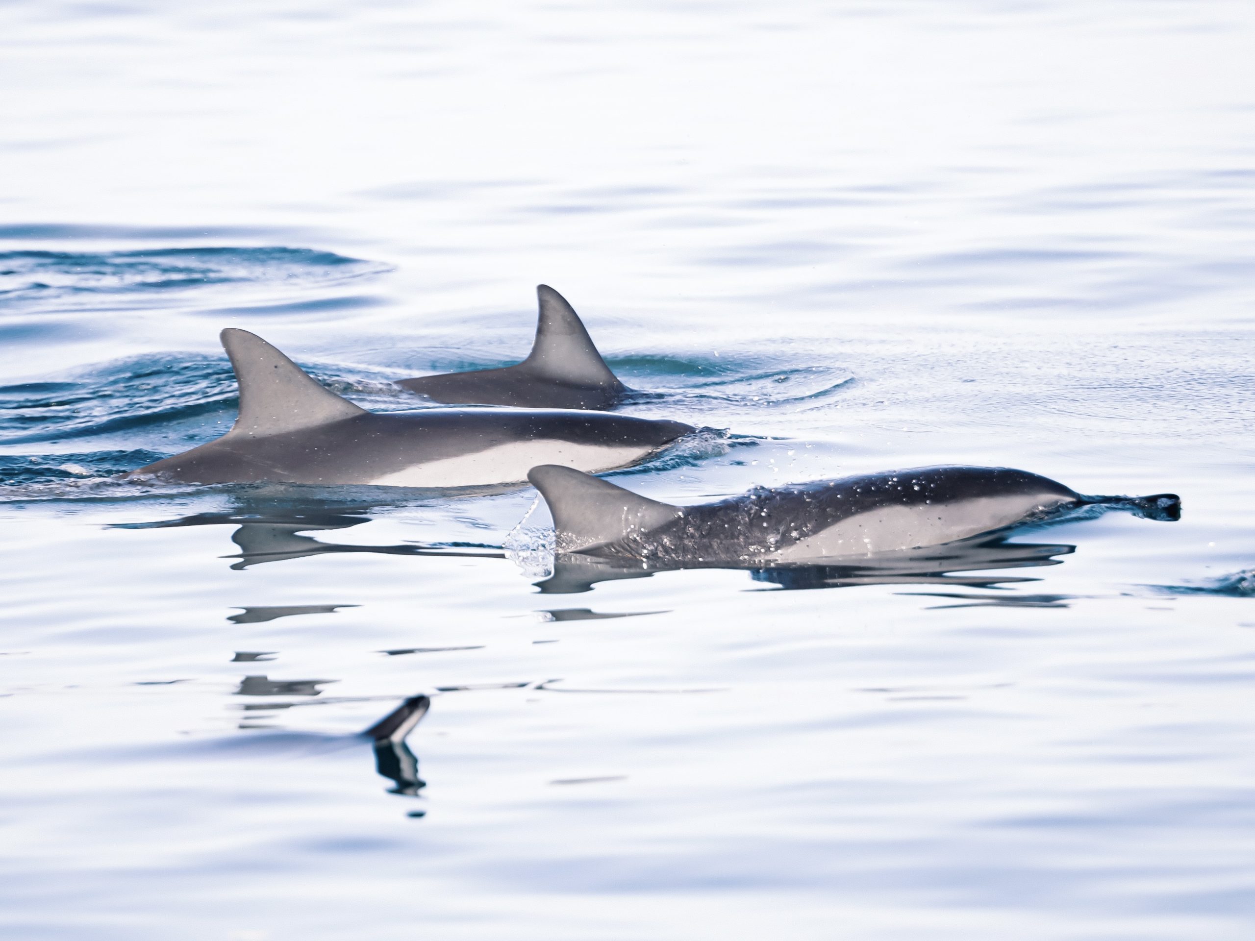 VITAMINSEA_PHOTOSHOOT-OCT2021-6