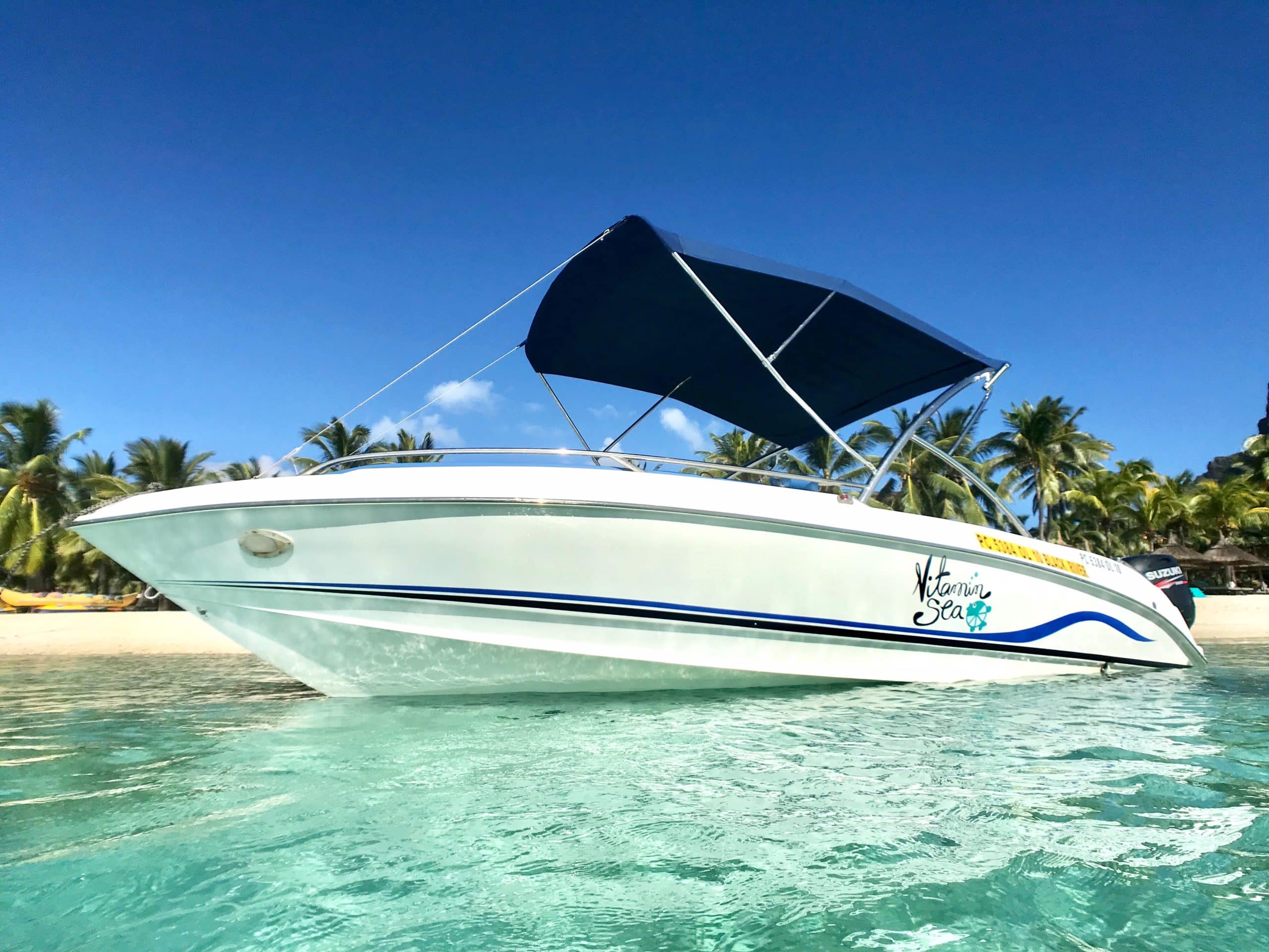 Whale Watching by Speedboat in Mauritius