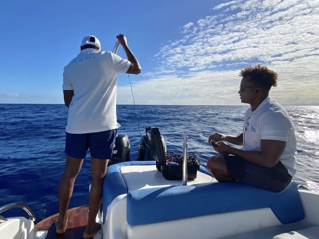 BALEINE, BONJOUR ! - observation des baleines BALEINE, BONJOUR ! - Observation des baleines - Vitamin Sea Mauritius