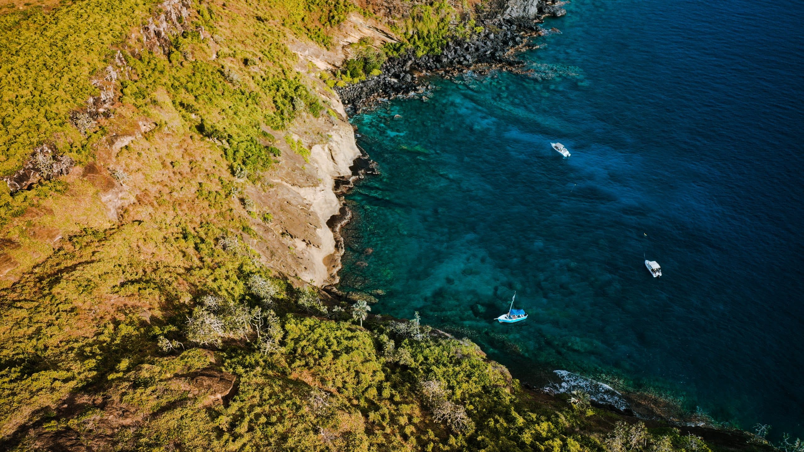 Home - vitamin sea - Vitamin Sea Mauritius